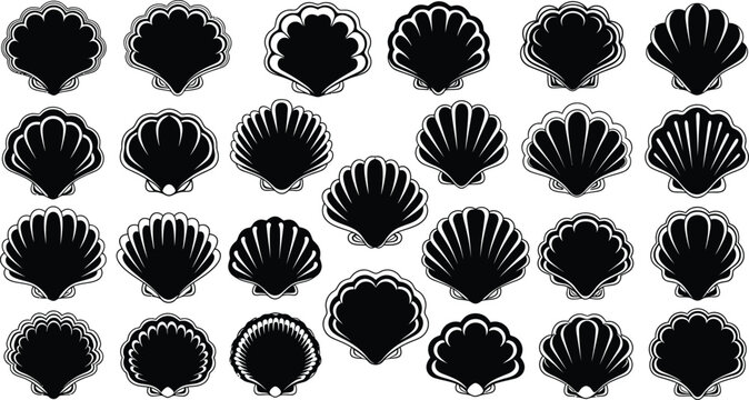 Collection of black and white seashell illustrations in a grid pattern