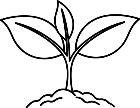 Simple black outline illustration of a young plant with three leaves growing from a small mound of earth, symbolizing nature, growth, and environmental care.