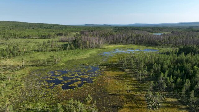 Drone shot of serene lake and bog landscape in Sweden