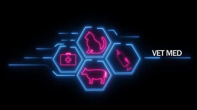 Neon veterinary medicine including a cat cow first aid kit and syringe connected by glowing blue lines on a black background with the text VETMED