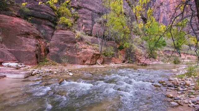 A scenic view of the Virgin River as it winds through the towering red sandstone cliffs of Zion Canyon. This footage captures the serene and peaceful atmosphere of the popular, paved Riverside Walk tr