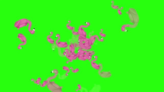 Pink inflatable flamingo pool floats fly outward from the center and disappear on a green chroma key background, playful 3D animation perfect for summer themes, vacation promos and overlays