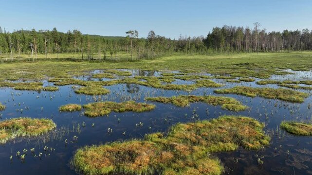 Drone shot of serene lake and bog landscape in Sweden