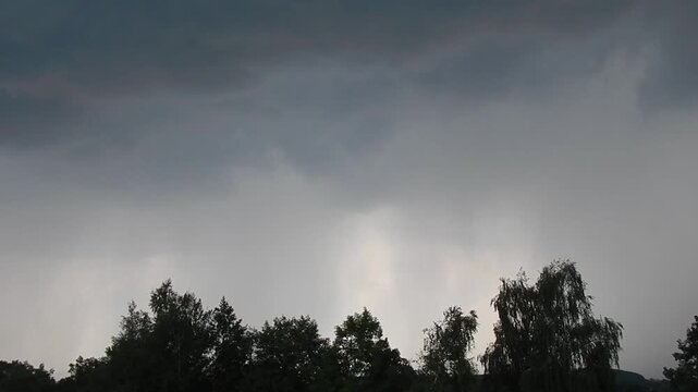 Dark rain clouds and Praecipitatio rain streaks over trees blown by strong winds - natural rainy scene. Topics: storm, cloudscape, meteorology, cloud types, natural environment, climate, altitude