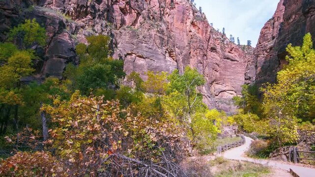 Footage of the scenic and easy Riverside Walk trail in Zion National Park during the fall season. The paved path follows the Virgin River, leading to the start of the famous Narrows hike, surrounded b
