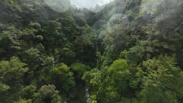 Catarata En Costa Rica