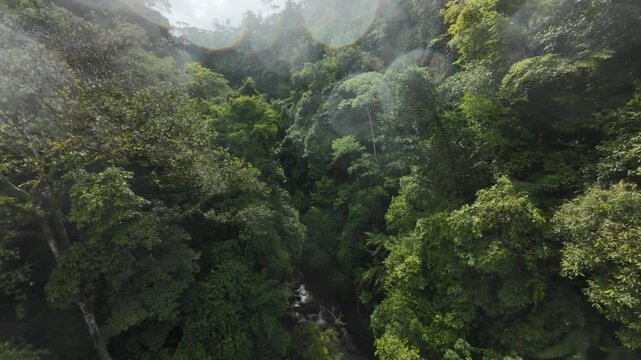 Catarata En Costa Rica