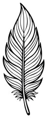 Fototapeta premium Detailed Feather Illustration with Intricate Line Work Showcasing Plume Symmetry and Elegant Design for Crafts and Decorations