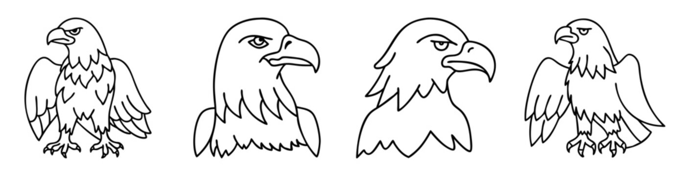 Vector illustration of four eagles with different poses and outlines isolated