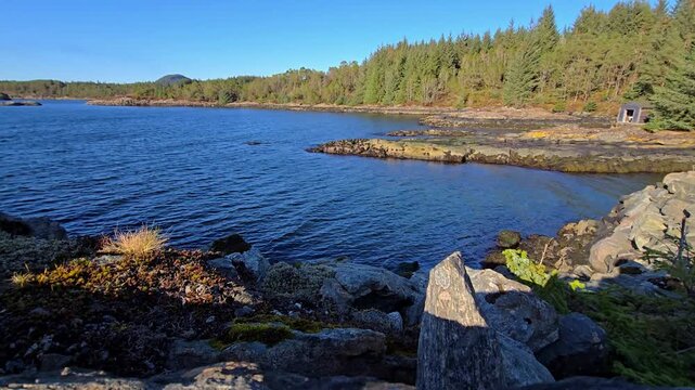 Sea coast with green forest and blu sky
