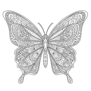 Intricately designed butterfly with patterns and swirls on wings  line art style