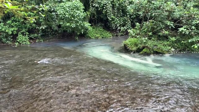 
R&iacute;o Buena Vista and Quebrada Agria Rivers interact to create the electric blue of Rio Celeste in Tenorio Volcano National Park in the Guanacaste Volcanic Mountain Range, Costa Rica
