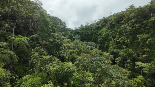 Catarata En Costa Rica
