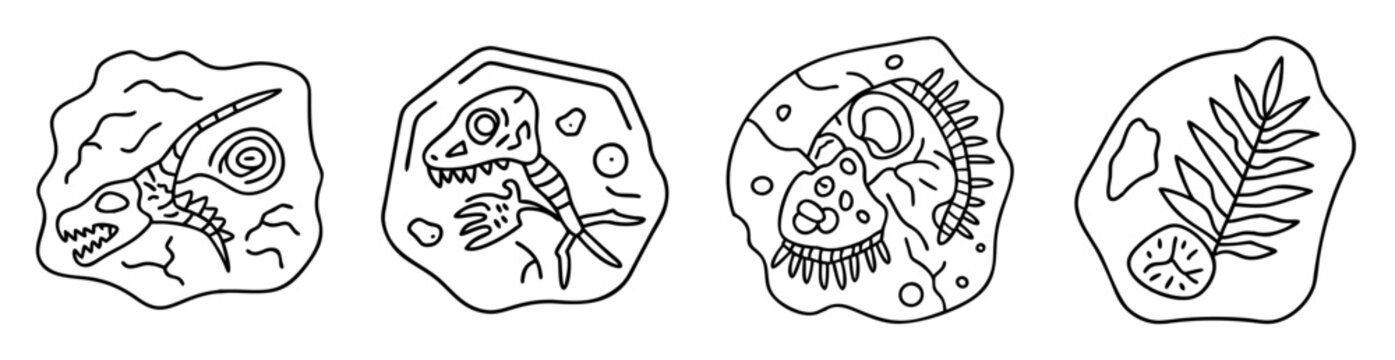 Collection of Paleontology themed monochrome dinosaur fossils and plant fossils illustrations