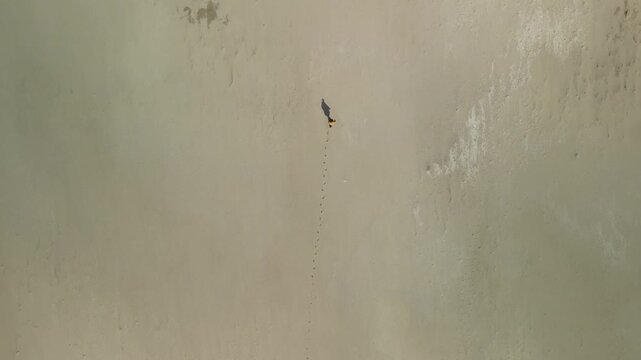 Aerial footage of a lone person walking along Bunes beach, next to Vindstad in Lofoten, Norway, on a sunny day, drone footage, 4k 30fps