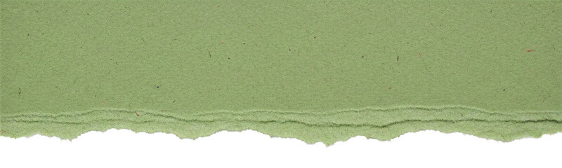 Torn green paper strip background edge detail. © RM Graphics