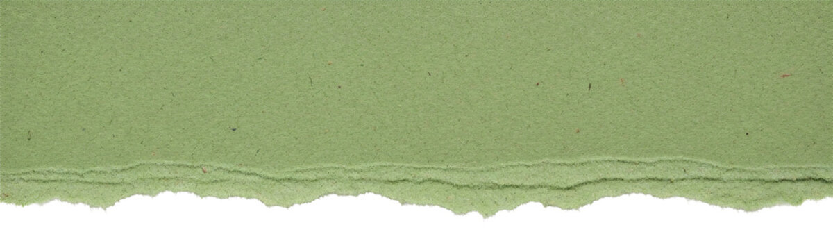 Torn green paper strip background edge detail.