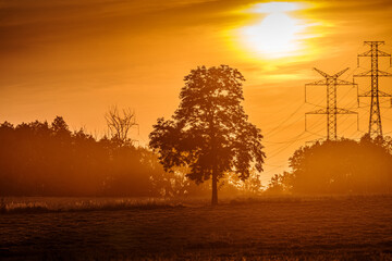 Malowniczy zachód słońca nad polami z samotnym drzewem i słupami wysokiego napięcia. Mglisty krajobraz w odcieniach złota i pomarańczu, łączący naturę z infrastrukturą energetyczną. © Henryk Niestrój