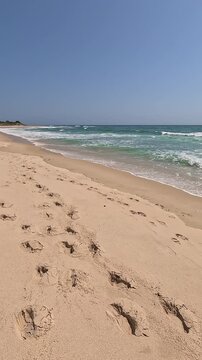 Vertical panoramic view from the shore towards a beautiful wild beach, with golden sand, turquoise water and blue sky, in Bolonia Beach, Cadiz, Andalusia, Spain