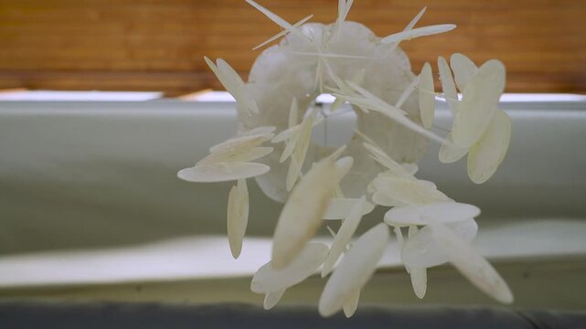 Slow motion seashell wind chime hanging from ceiling