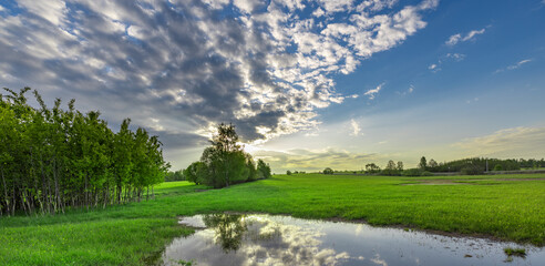Naklejka premium Serene meadow reflects sky's soft glow