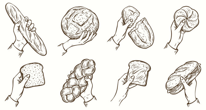Vintage Hand Drawn Illustration Set of Hands Holding Various Breads and Bakery.
