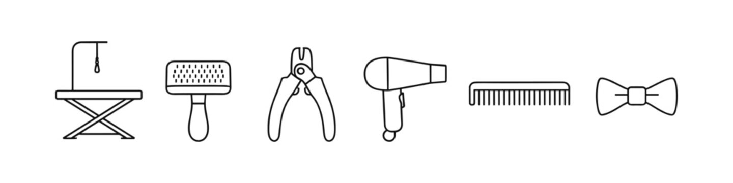 Collection of pet grooming tools and accessories for professional care