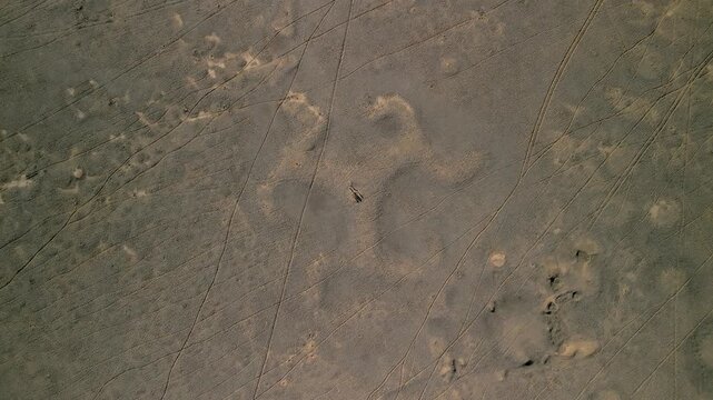 Grand aerial drone shot of the ancient Turgay Triquetra geoglyph in the Kostanay region. The footage reveals a massive three-armed symbol on the ground, constructed from earth mounds. 
