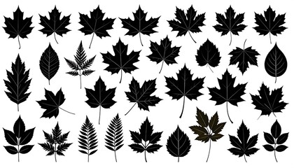 Fototapeta premium Collection of Various Black Leaf Silhouettes on White Background.