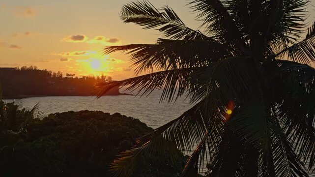 magical sunset through the leaves of a palm tree in Thailand, the sun sets behind the island, a light wind blows