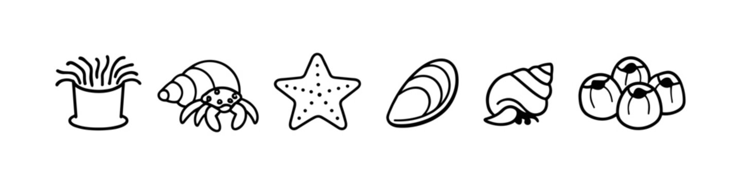 Collection of simple line art icons representing various marine life and shells