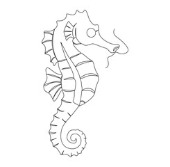 Continuous line drawing of seahorse marine animal, one single line on a white background. © Designbundle