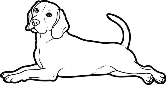 Beagle dog lying down outline animal canine