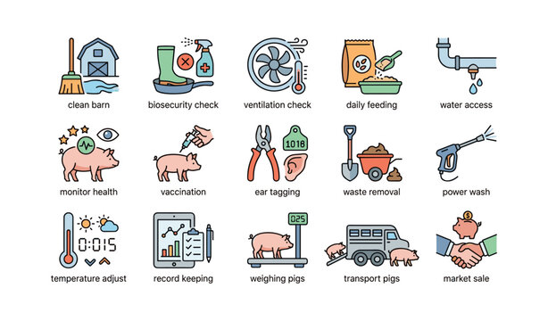 Pigs farm management icons: feeding, health monitoring, transport, market sale