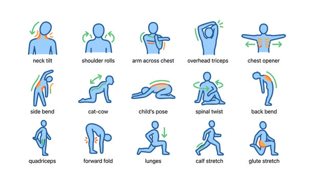 Illustrated guide to 14 simple stretching exercises for flexibility and relaxation