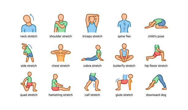 Illustrated guide to stretching exercises for flexibility training