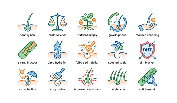 Hair growth and scalp health icons: nutrient supply, growth phase, reduced shedding, scalp balance