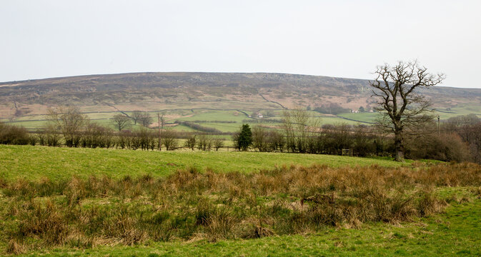 A view of Farndale in the North Yorkshire Moors