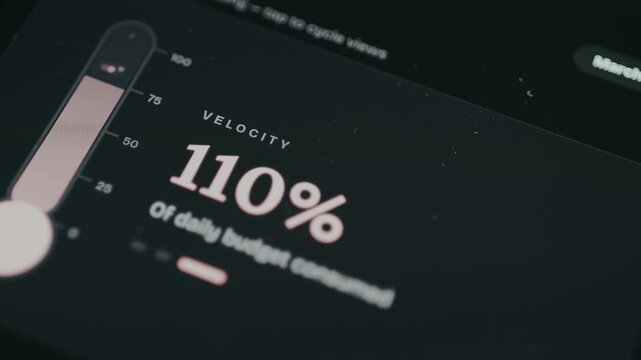 Velocity metric indicating that 110 percent of a daily budget has been consumed