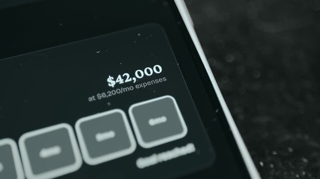 Financial summary indicating a total of 42K USD alongside a monthly expense amount of 6k USD per month