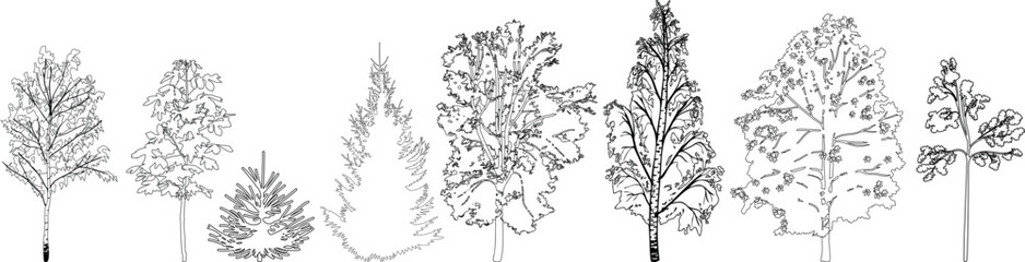 Fototapeta premium PrintBlack and white set of various tree silhouettes and outline diagrams