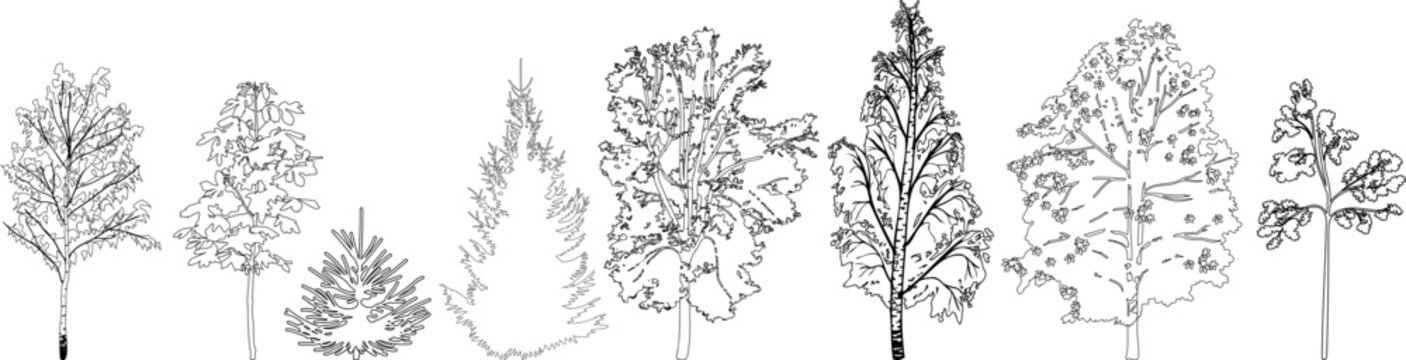 PrintBlack and white set of various tree silhouettes and outline diagrams