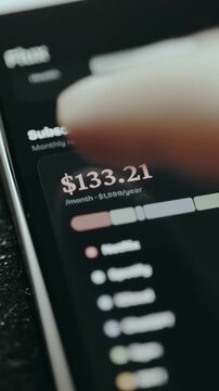 Financial tracking interface monitoring monthly subscription costs