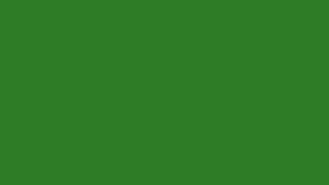 Hand-Drawn Concentric Ripple Shockwave Animation on Green Screen | Abstract White Doodle Water Rings Effect 2D Animation | Dynamic Liquid Wave Animated Asset for Video Editing