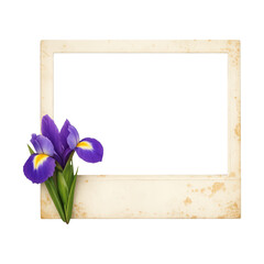 Fototapeta premium PNG Vintage frame with purple flowers