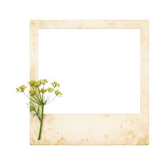 Fototapeta premium PNG Vintage floral photo frame