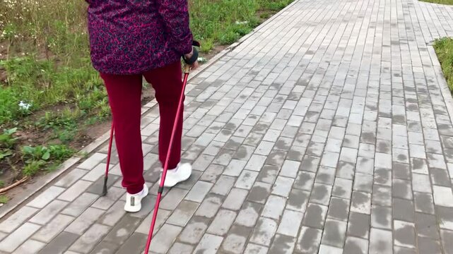 Senior woman Nordic walking brick path in purple jacket and red pants using walking poles along paved summer trail.