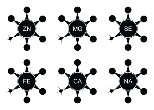 Six Starburst Representing Chemical Zn, Mg, Se, Fe, Ca, Na
