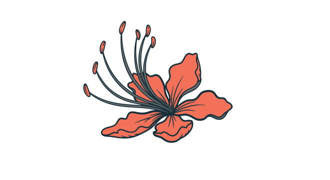 Red Flower Illustration with Black Stamen.