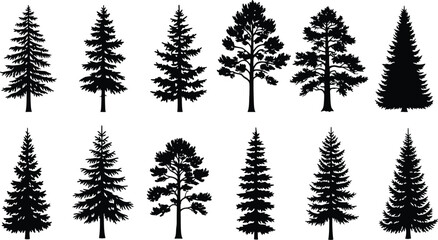 Obraz premium Forest silhouette collection of detailed evergreen tree illustrations